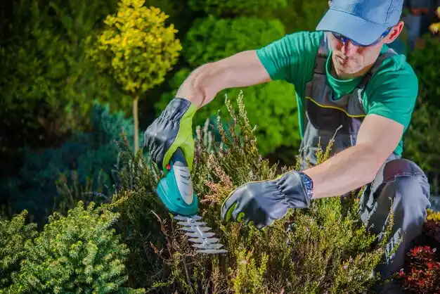 landscaping services Catlettsburg